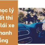 Mẹo học lý thuyết bằng lái xe B1 mà bạn nên tham khảo?